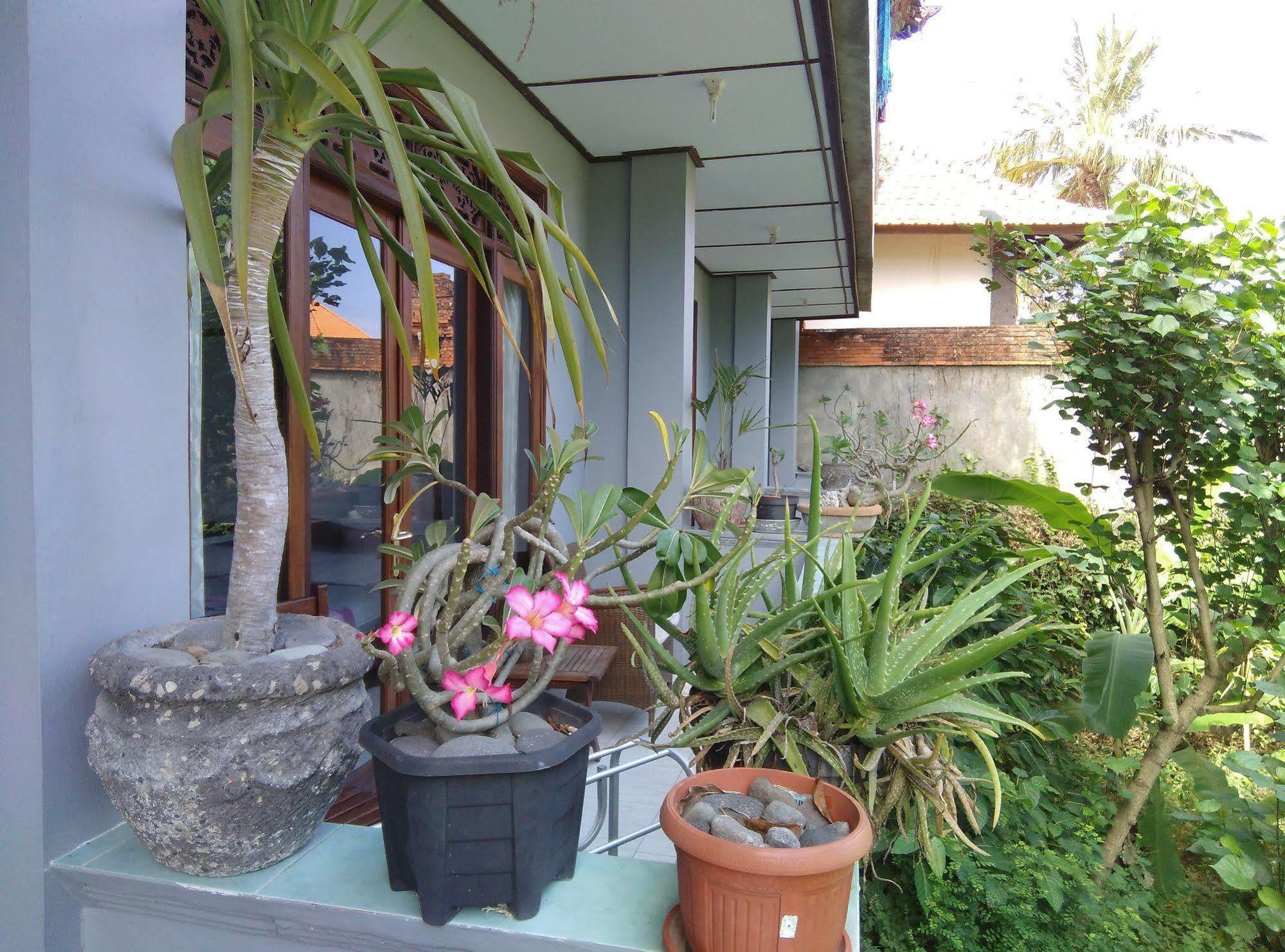 Celagi Inn Padangbai  Exterior photo